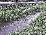 GFt߂̉摜