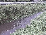 GFt߂̉摜
