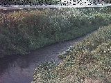 GFt߂̉摜