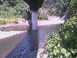 Rt߂̉摜
