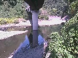 Rt߂̉摜