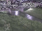 ͌t߂̉摜
