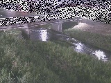 ͌t߂̉摜