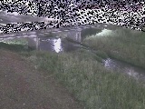 ͌t߂̉摜