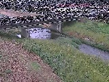 ͌t߂̉摜