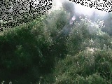 yxct߂̉摜