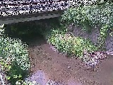 �V�������t�߂̉摜