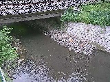 Vt߂̉摜