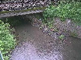 Vt߂̉摜