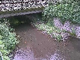 Vt߂̉摜