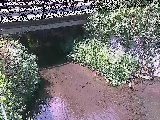 Vt߂̉摜