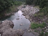 Rt߂̉摜