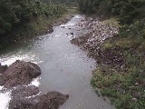 Rt߂̉摜