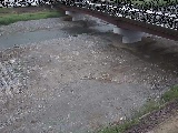vt߂̉摜