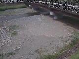 vt߂̉摜