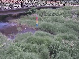 ���苴�t�߂̉摜