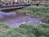 苴t߂̉摜