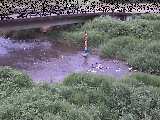 苴t߂̉摜