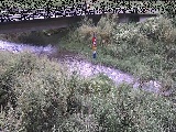 苴t߂̉摜