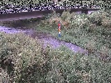 苴t߂̉摜