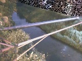 Ct߂̉摜