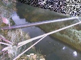 Ct߂̉摜