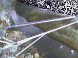 Ct߂̉摜
