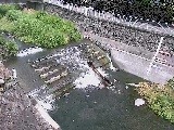 �V�苴�t�߂̉摜