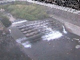 V苴t߂̉摜