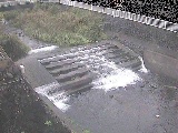 V苴t߂̉摜