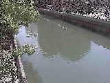 �V�c�ԋ��t�߂̉摜