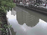 Vcԋt߂̉摜