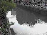 Vcԋt߂̉摜