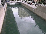 Yt߂̉摜