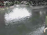ct߂̉摜