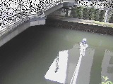 ߉t߂̉摜