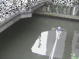 ߉t߂̉摜