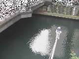 ߉t߂̉摜