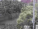 ΍苴t߂̉摜