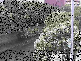 ΍苴t߂̉摜