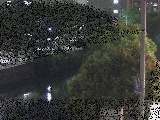 ΍苴t߂̉摜