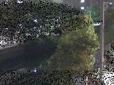 ΍苴t߂̉摜