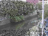 ΍苴t߂̉摜