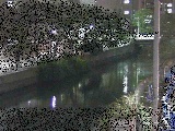 ΍苴t߂̉摜