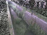 苴t߂̉摜