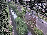苴t߂̉摜