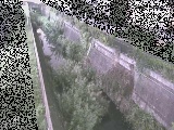 苴t߂̉摜