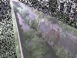 苴t߂̉摜
