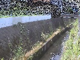 �����t�߂̉摜