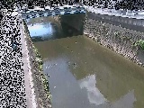 ���g���t�߂̉摜